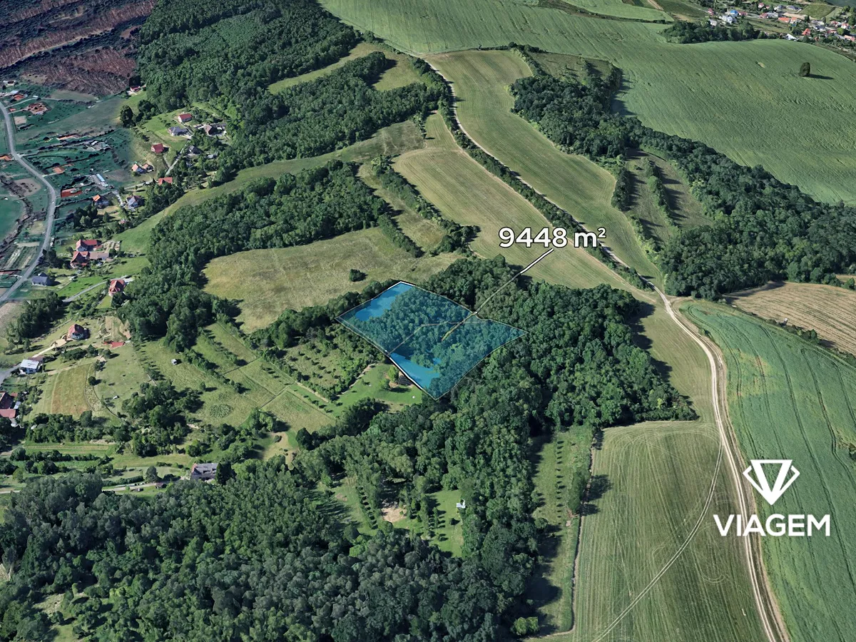 Prodej podílu 1/3 lesa 3149 m²